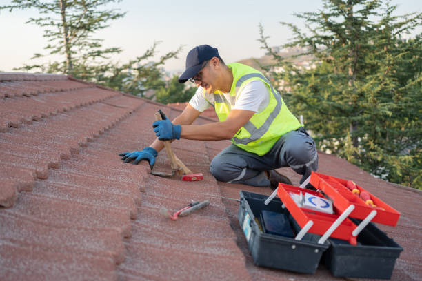 Best Roof Gutter Cleaning  in Tiltonsville, OH